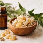 Oliban : bienfaits, usages et conseils pour une beauté naturelle