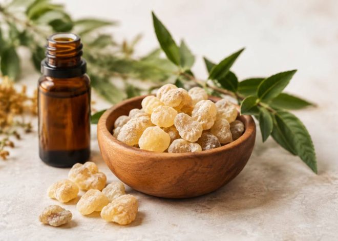 Oliban : bienfaits, usages et conseils pour une beauté naturelle