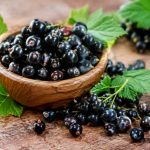 Blackcurrant : les bienfaits de cet actif naturel pour la peau et les cheveux