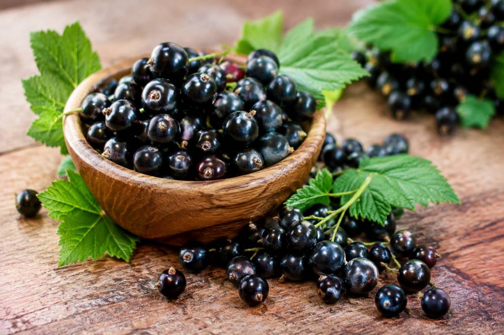 Blackcurrant : les bienfaits de cet actif naturel pour la peau et les cheveux